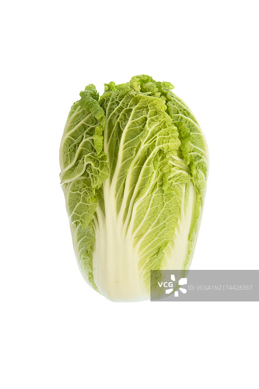 白菜，白色背景上的工作室拍摄图片素材