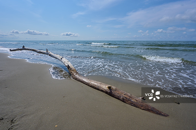 法国卡马格圣玛丽德拉梅地中海海滩上的浮木图片素材