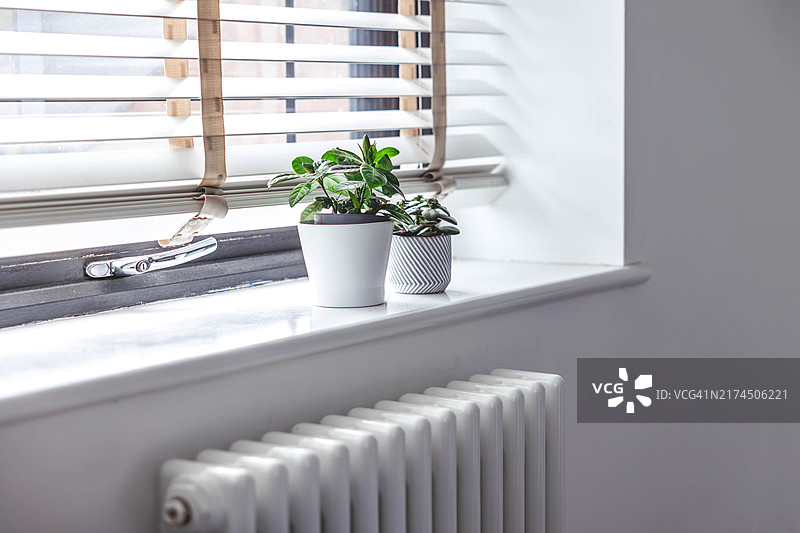 窗台上的盆栽图片素材