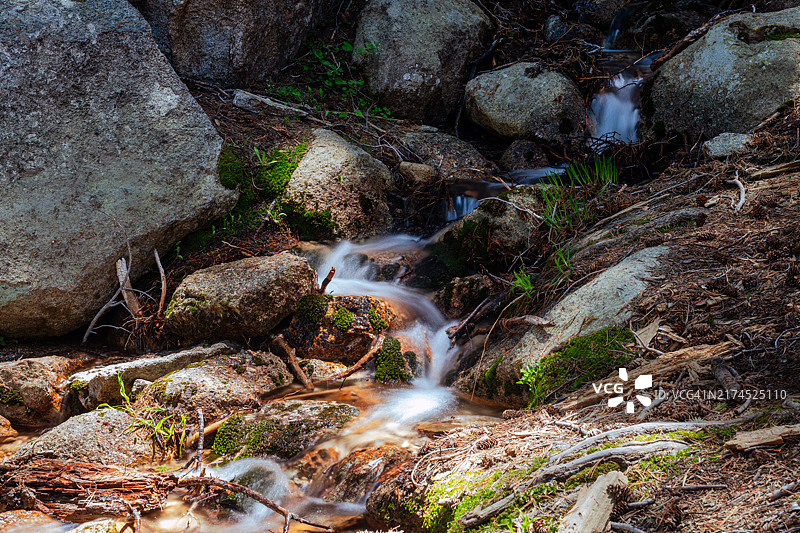 内华达山脉森林中的小溪图片素材