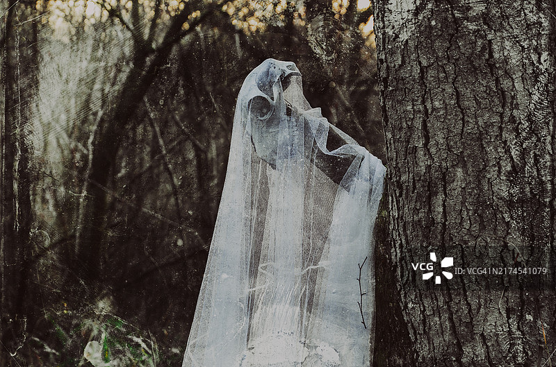 被白色床单覆盖的动物头骨的恐怖概念，在冬季幽灵般的森林里图片素材