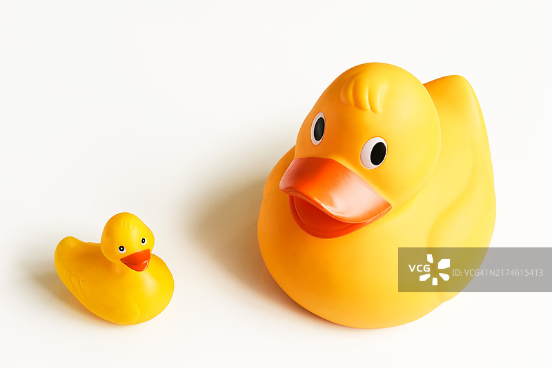 两只橡皮鸭图片素材