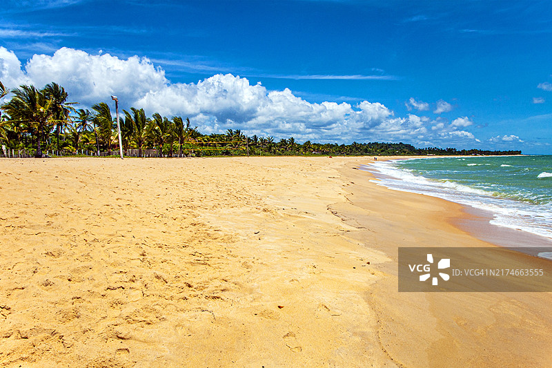 巴西巴伊亚州特兰科索海滩全景图片素材