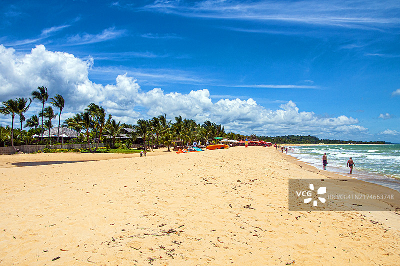 巴西巴伊亚州特兰科索海滩全景图片素材