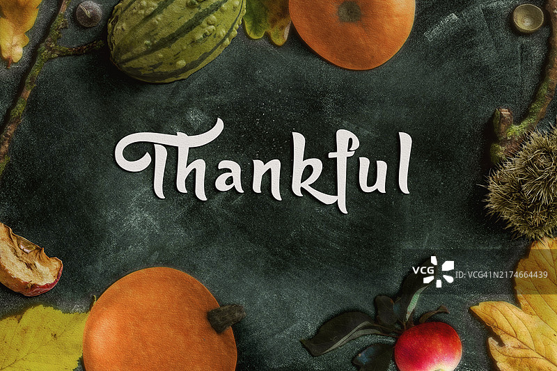 用南瓜静物和感恩信息表达感谢图片素材