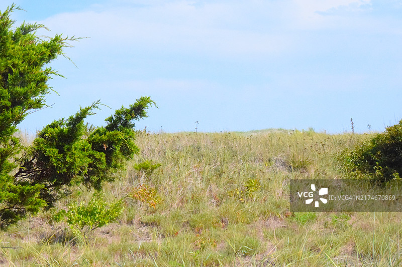 新泽西州阿瓦隆海滩图片素材