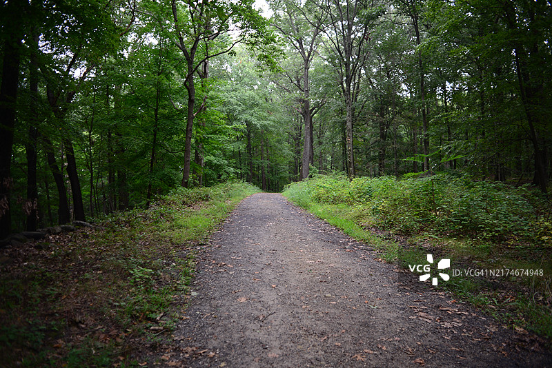 洛克菲勒州立公园保护区图片素材