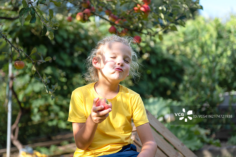 男孩在花园里手拿被咬的苹果闭眼享受图片素材