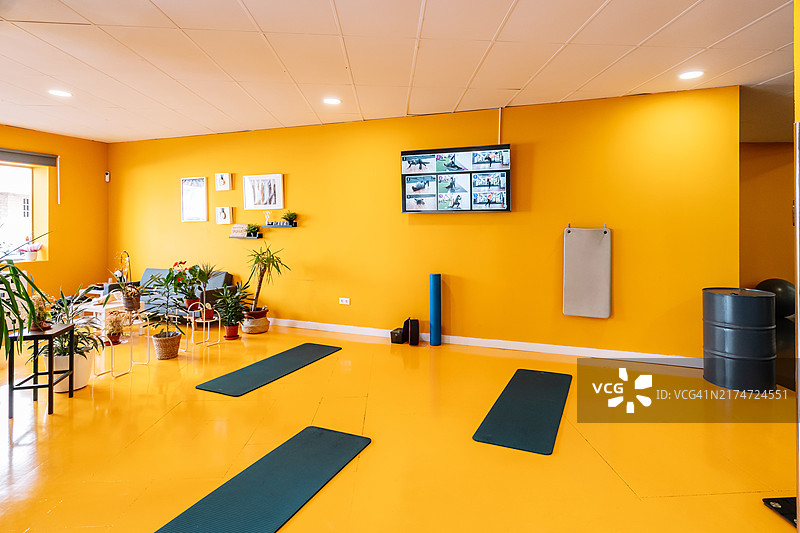明亮的瑜伽工作室，配有瑜伽垫和植物，准备进行放松和拉伸练习。图片素材