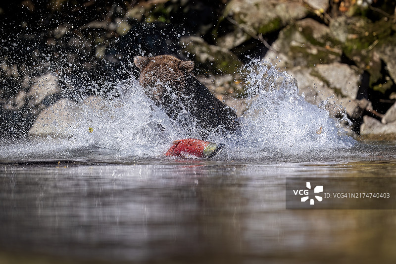 溜走的事物图片素材