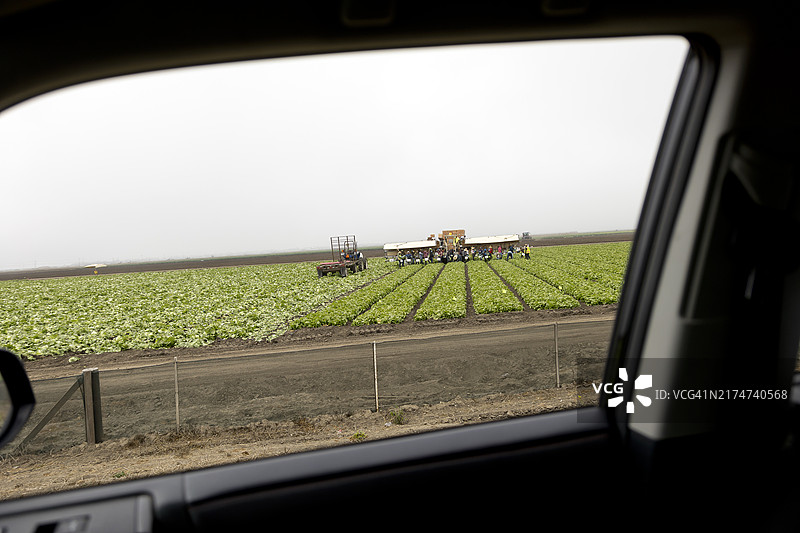 加利福尼亚州农业图片素材