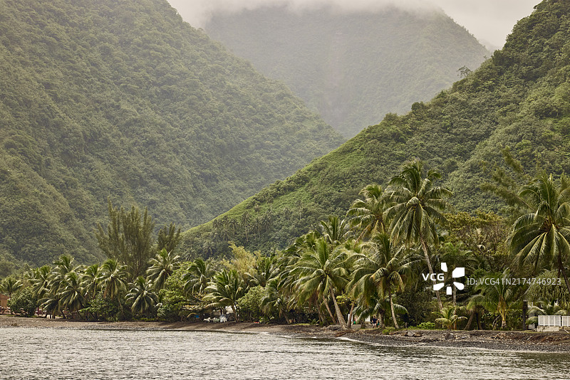 塔希提岛的森林山谷图片素材