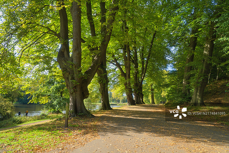 英国苏格兰中部：卡伦德公园的秋色图片素材
