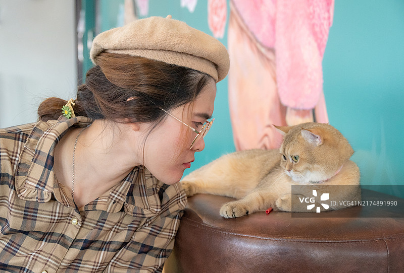 年轻亚洲女子逗英国短毛猫图片素材