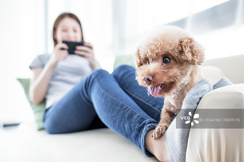 女人和狗坐在沙发上图片素材