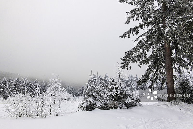 图林根森林中奥伯霍夫附近的雪景图片素材