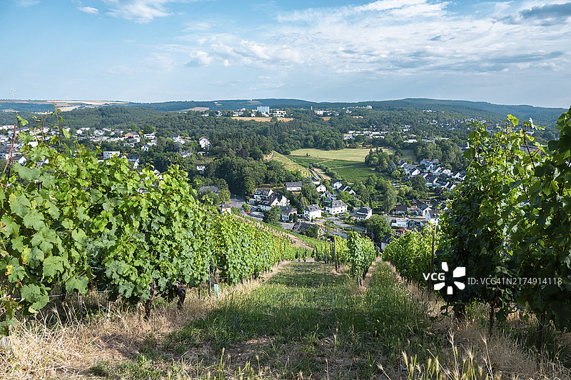德国摩泽尔河谷特里尔古罗马城市葡萄园景观图片素材