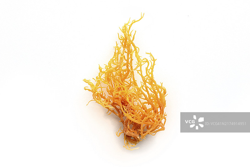 爱尔兰海苔：健康有机海藻特写，白色背景，食品摄影图片素材
