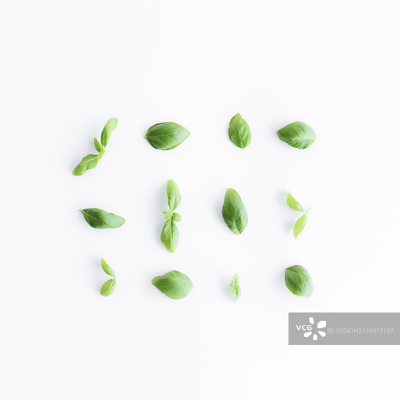 白色背景上的绿色罗勒和薄荷叶扁平展示：健康饮食和化妆品概念图片素材