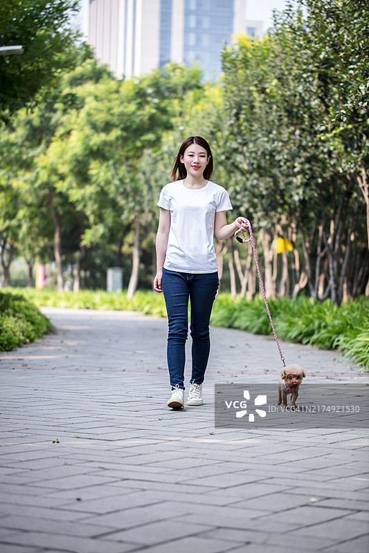 女人在公园里牵着拉布拉多寻回犬图片素材