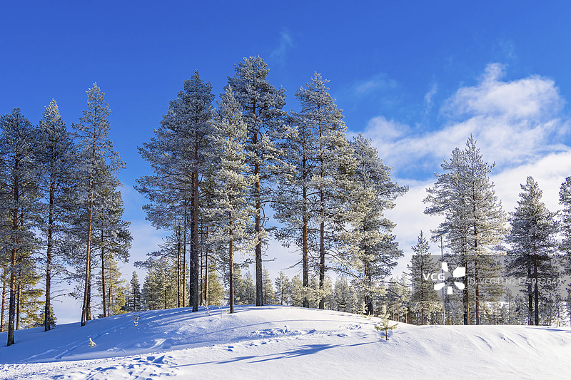 欧洲芬兰库萨莫冬季雪景图片素材