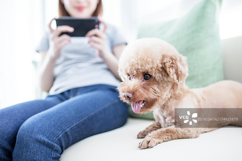 女人和狗坐在沙发上图片素材