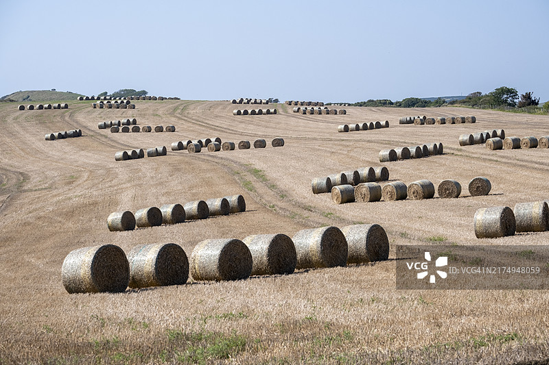圆形干草捆收割场景图片素材