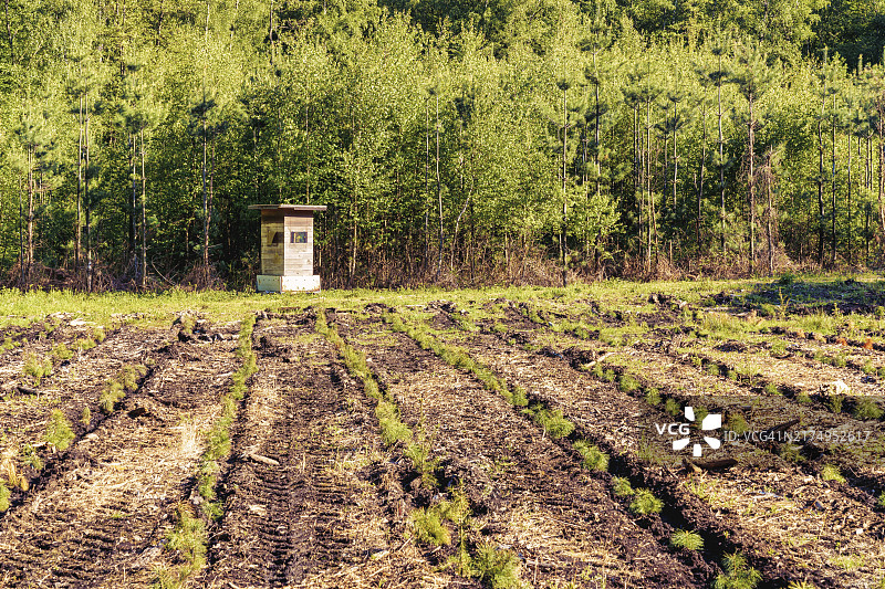 德国北莱茵-威斯特法伦州拉廷根森林空地上的狩猎站图片素材