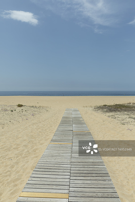 夏季面向大海的木地板图片素材