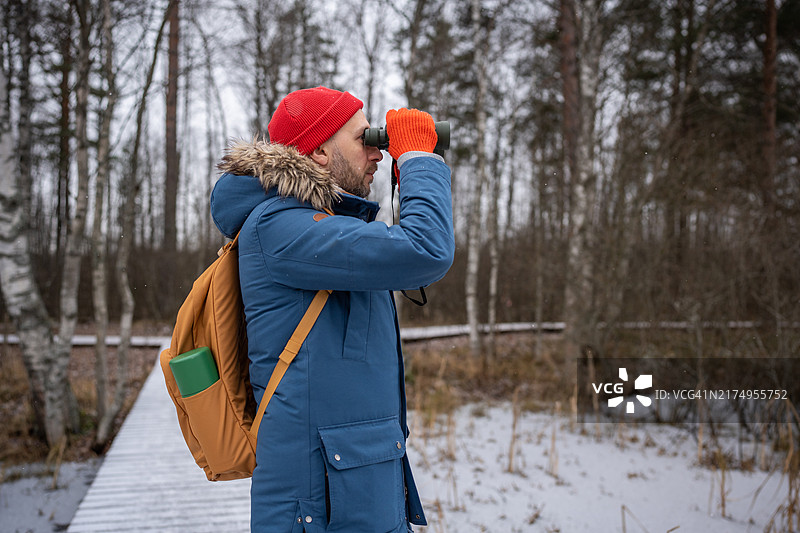 专注的男人在冬季森林里用双筒望远镜观鸟，在自然界中研究，爱好图片素材