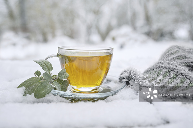 玻璃杯热鼠尾草茶和羊毛帽图片素材