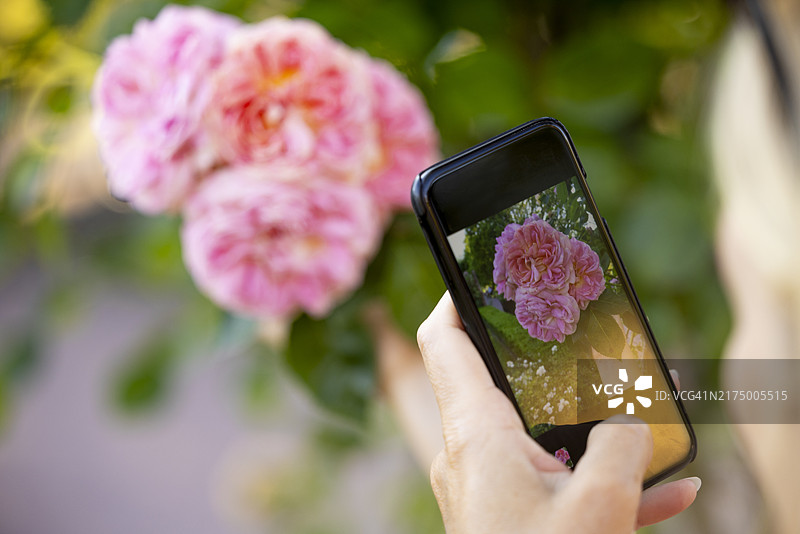 女子在公园拍摄花朵图片素材