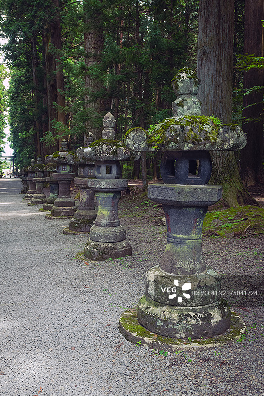 北口本宫富士浅间神社参道石灯笼图片素材