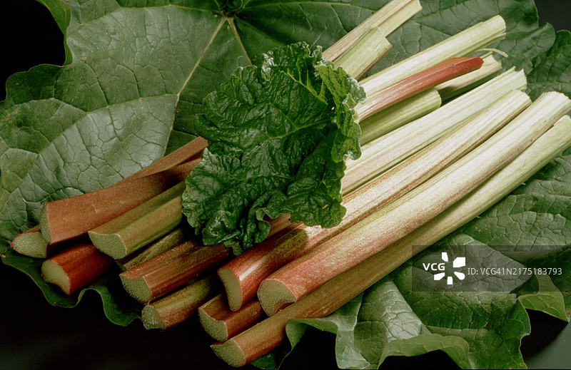 大黄：常用食用植物及加工食品图片素材