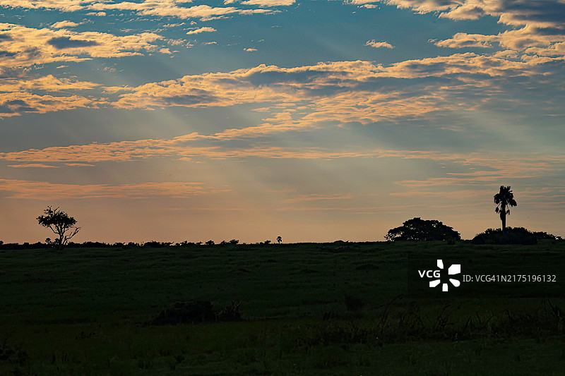非洲野生动物园日出云景图片素材