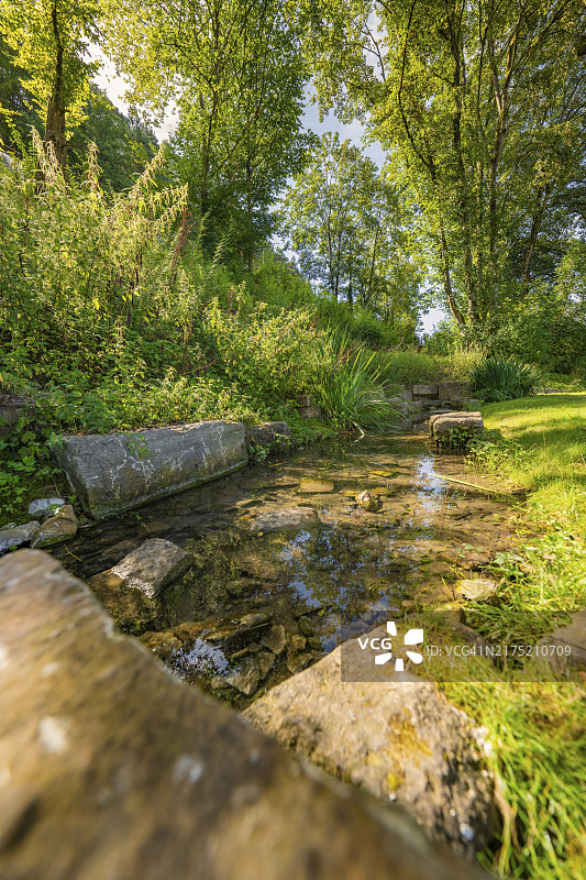 德国黑森林纳戈尔德的植被茂盛的溪流图片素材