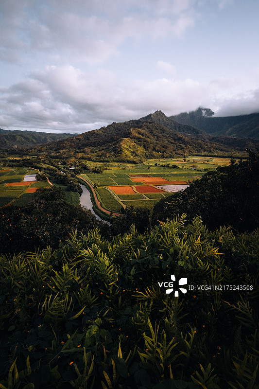 山谷风光图片素材