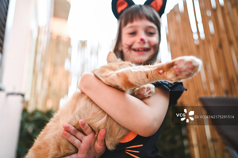 拥抱宠物图片素材