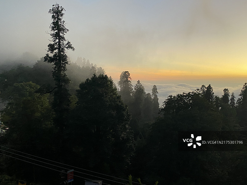 巴基斯坦开伯尔-普赫图赫瓦省拉瓦尔品第日落时分的树木图片素材