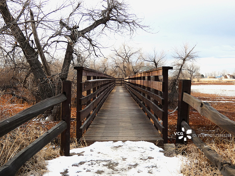 美国科罗拉多州布莱顿冬季森林中的桥梁景观图片素材