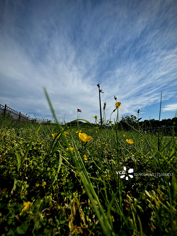 美国新泽西州帕特森的草地风光图片素材