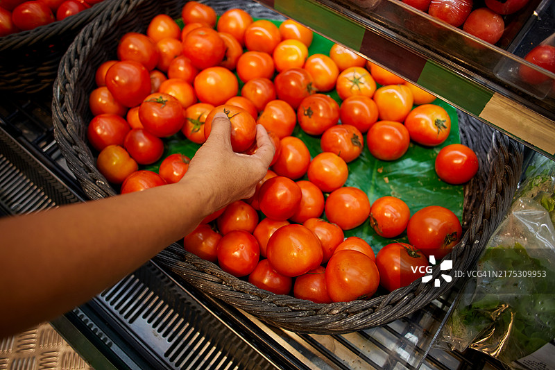 从容器中采摘西红柿的人的手部特写图片素材
