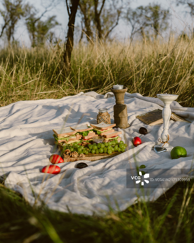 高角度视图的田野上的食物图片素材