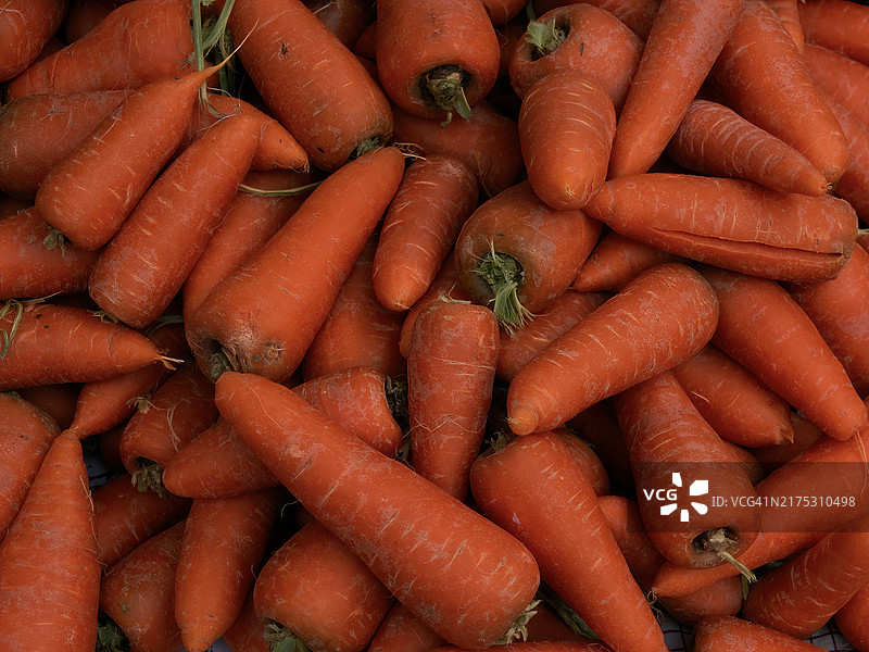 胡萝卜的完整画面图片素材