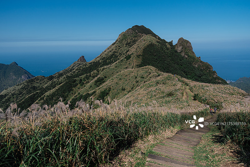 从九份俯瞰金瓜石地区，秋季的茶壶山（无耳茶壶山）上盛开着芒草花图片素材