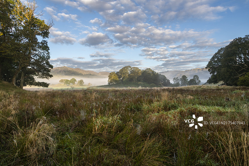 秋日清晨湖区的蜘蛛网图片素材