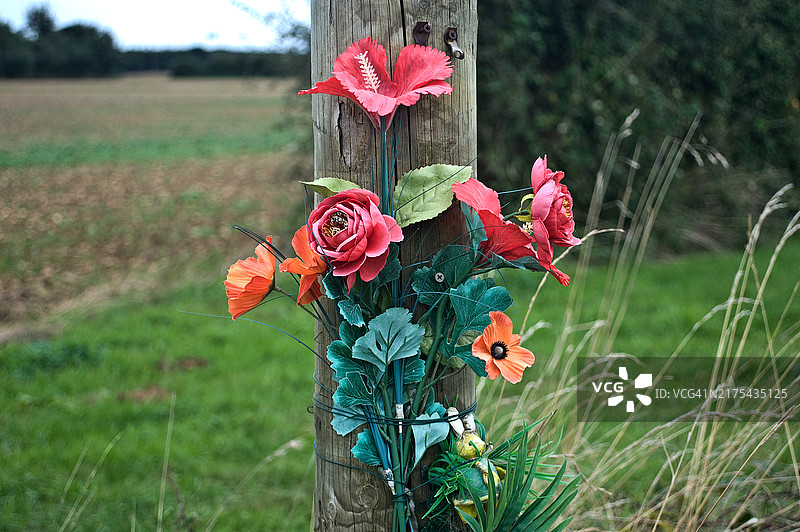 系在电线杆上的塑料花束图片素材