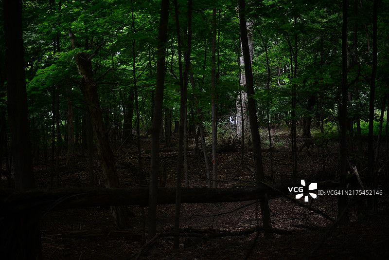 塔里敦湖步道图片素材