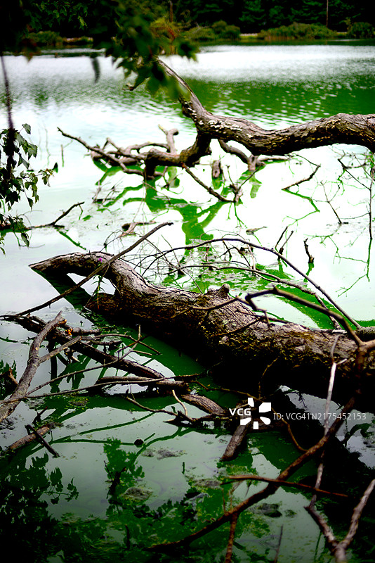 塔里敦湖步道图片素材