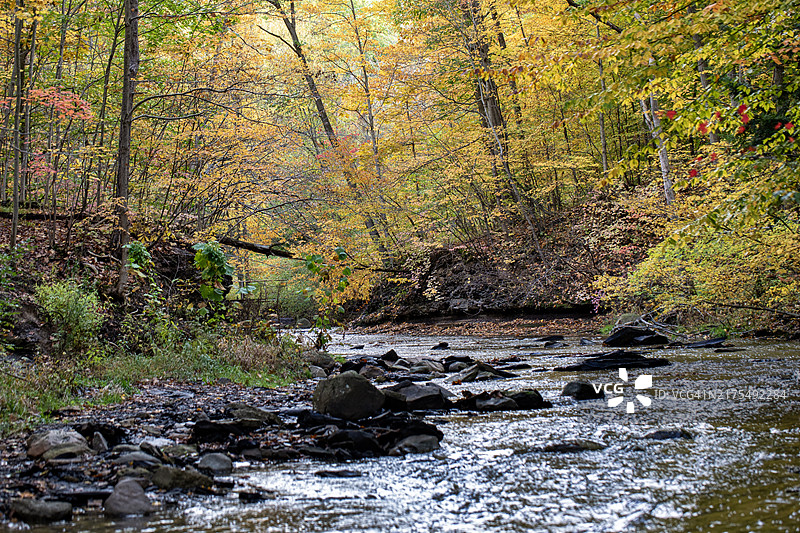 小溪中的秋色图片素材
